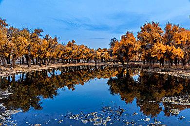 传《生化9》吉尔不是重要角色 生化0重制版开发中